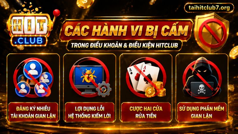 Các hành vi bị cấm trong điều khoản và điều kiện HITCLUB